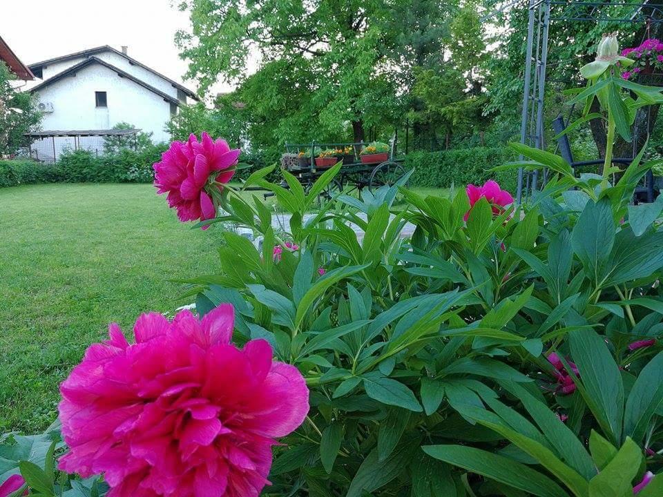 B&B Villa Una Bihac Luaran gambar